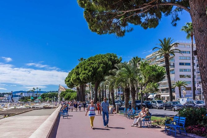 Discover Incredible Cannes on Private Walking Tour - Scenic Routes