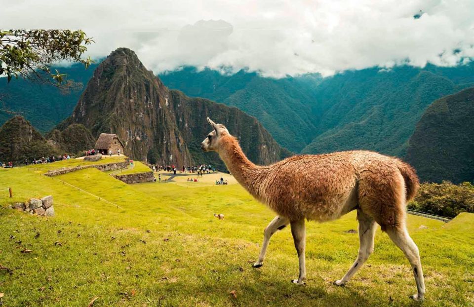 Discover Machu Picchu: Guided Group Tour Historic Site - Transportation and Machu Picchu Visit