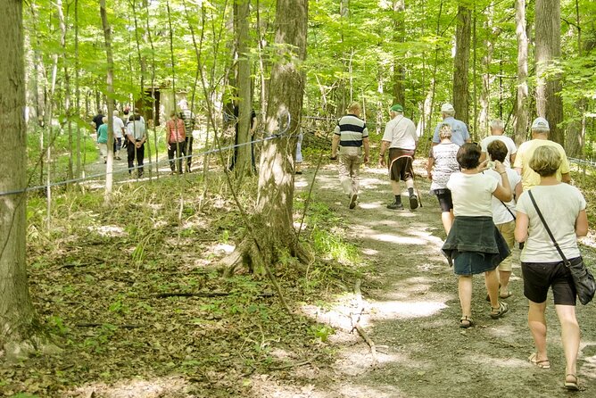 Discover Maple Sugar Bush Tour - Booking Information