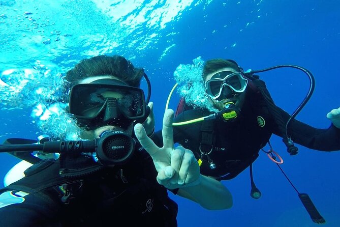 Discover Scuba Diving in Villasimius - What To Expect During the Dive