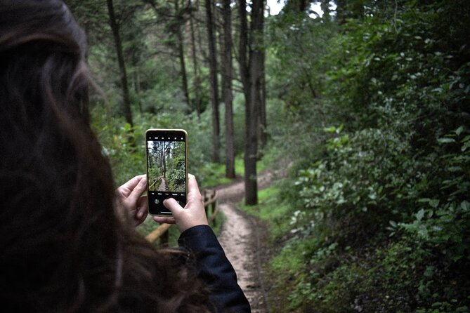 Discover the Lake Agnes Tea House Trail With a Guided Audio Hike - Scenic Highlights