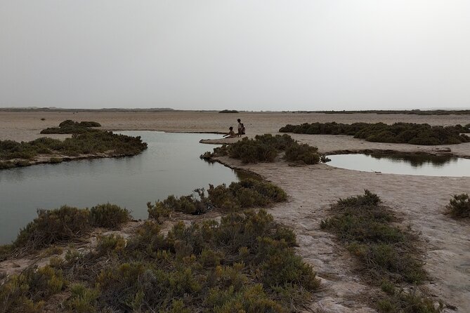 Discover the Unusual Sites of Dakhla in a 4x4 With a Local Guide - Cultural Encounters With Local Tribes