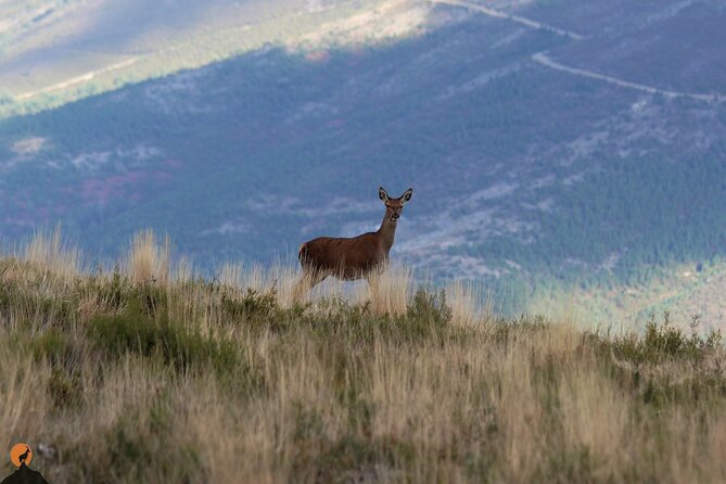 Discovering Nature in Serra Da Lousã - Guided Exploration Activities