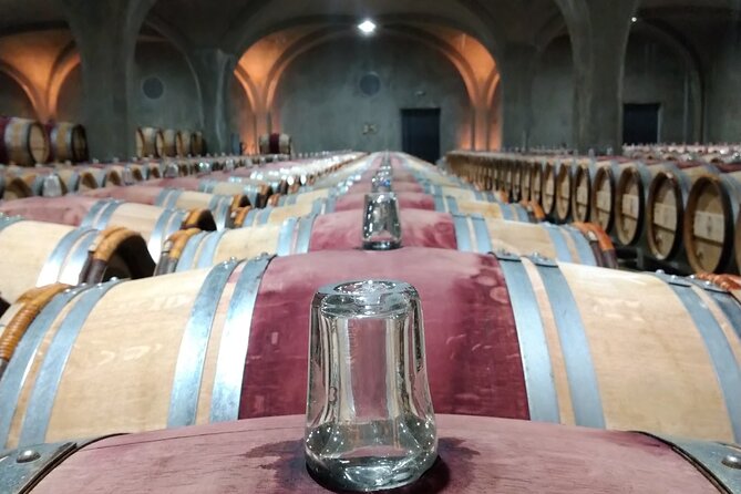 Discovery Day of the Médoc Classified Wines - Private Tour - Private Tour Itinerary