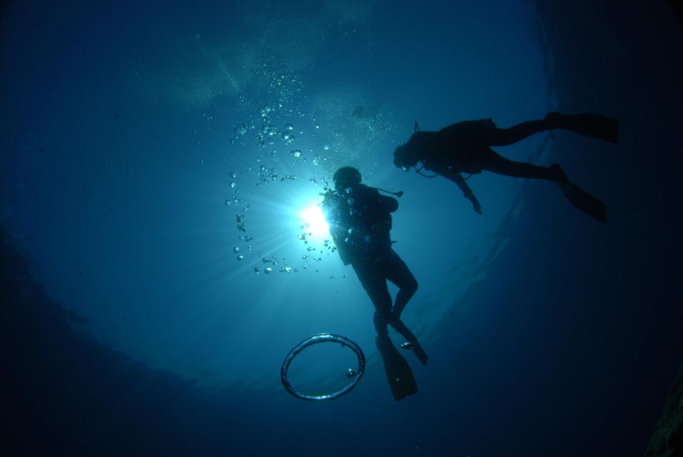 Discovery Dive - 2 Hour Uncertified Diver Introductory Dive - Dive Highlights and Experience