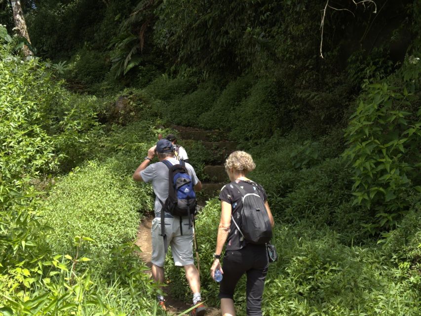 Discovery Wanagiri Unknow – Aling Aling Waterfall Trekking - Coffee Plantation Exploration