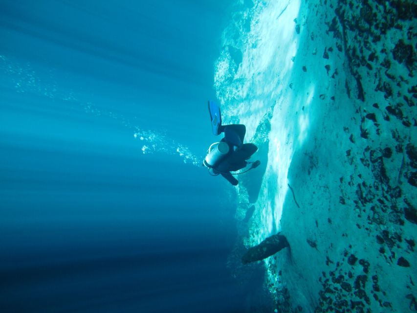 Diving in a Cenote - Highlights of the Cenote Experience