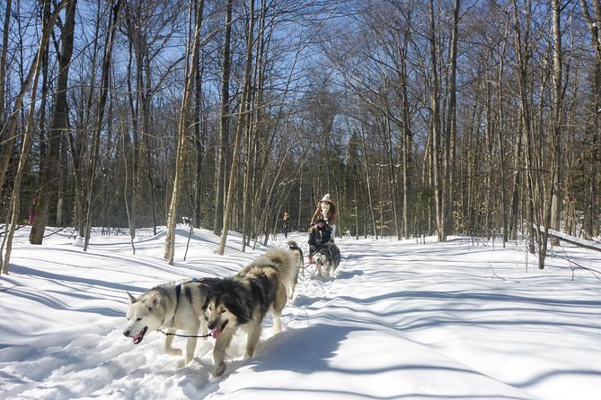 Dog Sledding Adventure From Toronto Private Tour - Refund and Cancellation Policy