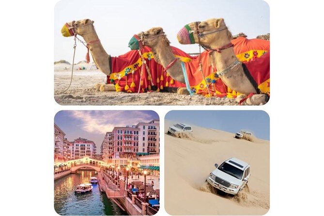 Doha : Combo Private City Tour & Half-day Desert Safari - Private City Tour Inclusions