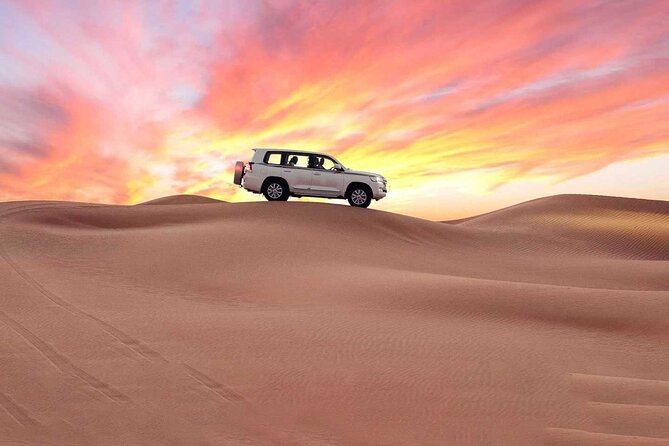 Doha : Night Desert Safari Transit Safari Camel Ride Dune Bashing - Cancellation Policy