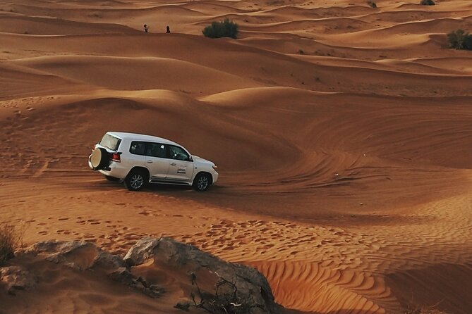 Doha Private Half-Day Guided Desert Safari Tour - Experienced Tour Guides