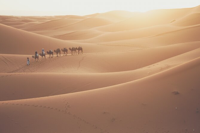 Doha Sunrise Desert Safari Tour Dune Bashing Inland Sea Visit Camel Riding - Cancellation Policy Details
