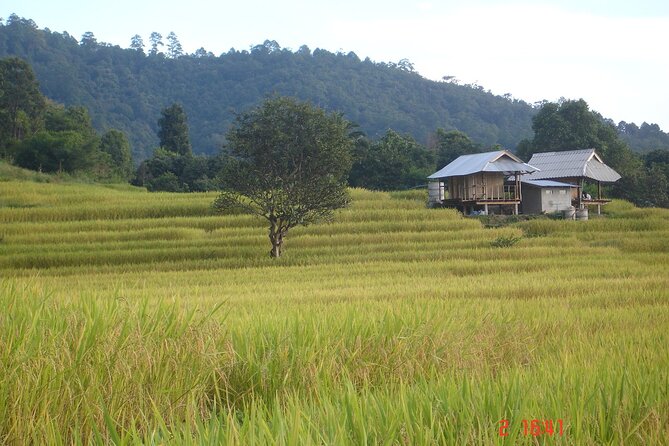 Doi Inthanon National Park and 2 Hours Hiking With Private Tour - Tour Highlights