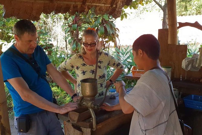Doi Suthep Tour: Trekking at Doi Inthanon National Park With Lunch - Trekking Experience