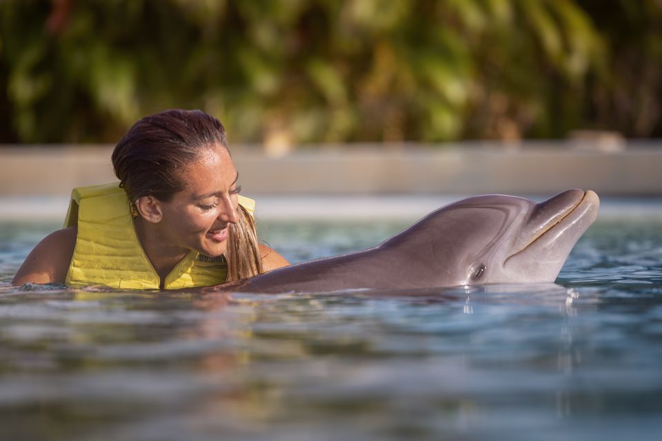 Dolphin Connection Riviera Maya: Dolphin Connection - Experience Highlights