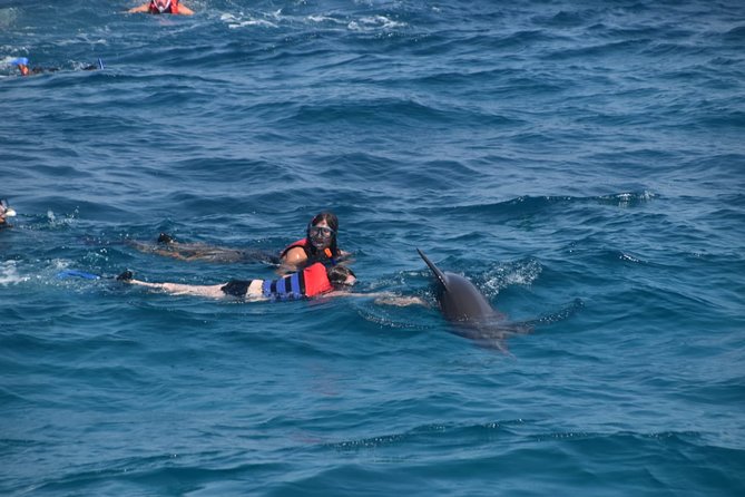 Dolphin House and Banana Boat Fun From Hurghada - Booking and Cancellation Policies