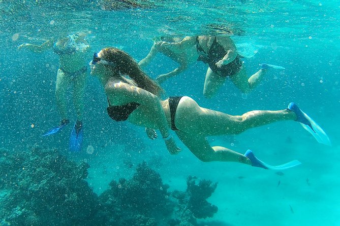 Dolphin Snorkeling Tour From Hurghada, Makadi or El Gouna - Customer Reviews