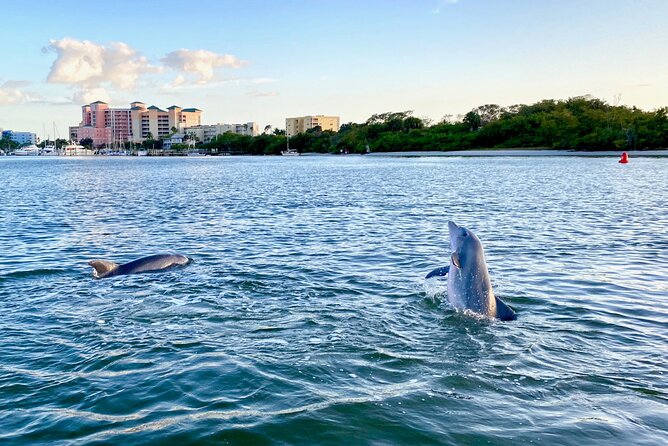 Dolphin Tiki Cruise Around Fort Myers Beach - Wildlife Spotting Opportunities