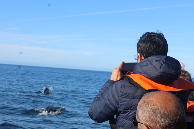 Dolphin Watching 2 Islands Tour - From Faro - Inclusions