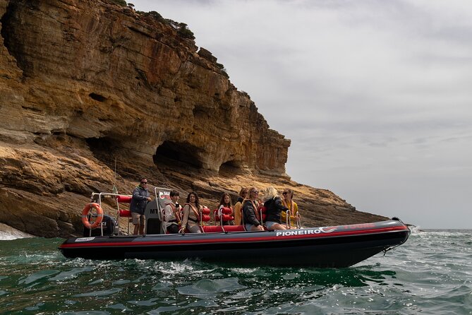 Dolphin Watching Along the Algarve Coast - Booking Details and Confirmation Process