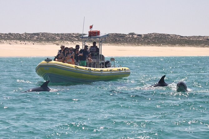Dolphin Watching at the Arrabida (Lisbon Region) - Departure Point
