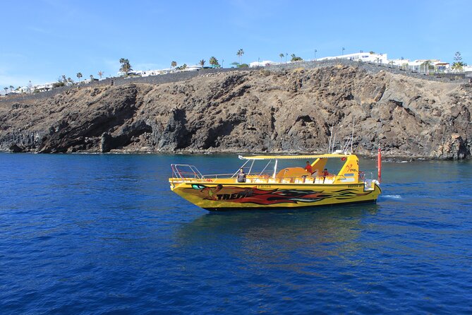 Dolphin Watching Cruise to Lobos Island - Additional Information and Requirements