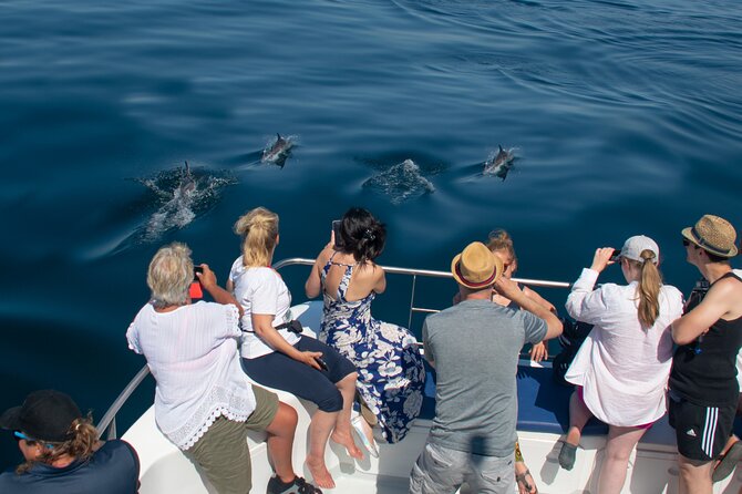 Dolphin Watching Half-Day Cruise From Lagos - Booking Information