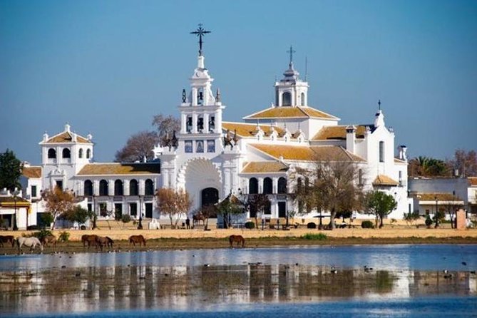 Doñana Natural Park Full-Day Tour From Seville - El Rocío Visit