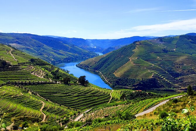 DOURO TOURS - in Pinhão 1 Day All Inclusive 135, DOURO Valley - Inclusions and Exclusions