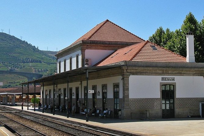 Douro Valley and Régua Panoramic Cruise With Lunch From Porto - Booking Information