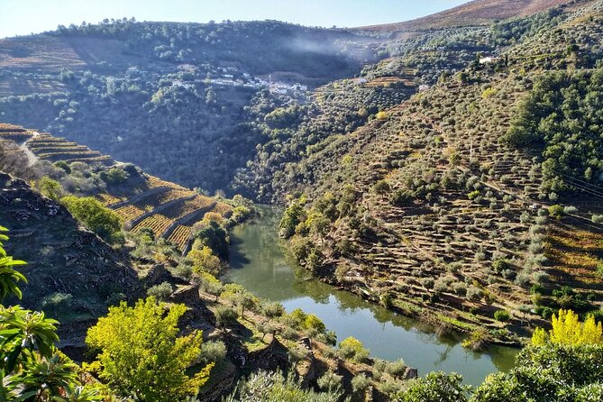 Douro Valley Prime Tour: Wine Tasting, Boat and Lunch From Porto - Traveler Benefits