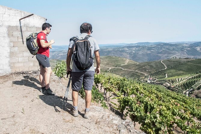 Douro Valley Private Hike&Picnic - Sustainable Tourism Focus