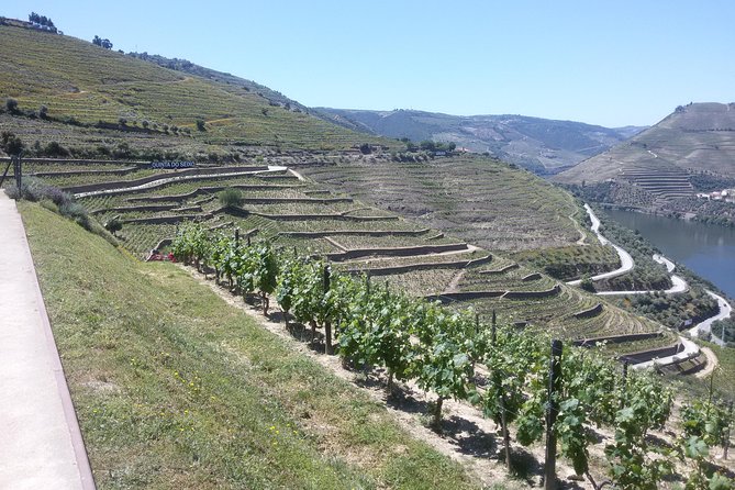 Douro Valley Private Premium Tour With Wine Tasting (1 to 4 People) - Traveler Reviews and Ratings