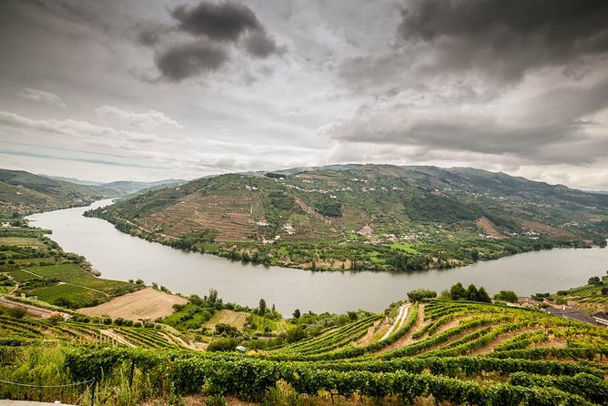 Douro Valley Private Tour From Oporto - Customer Reviews