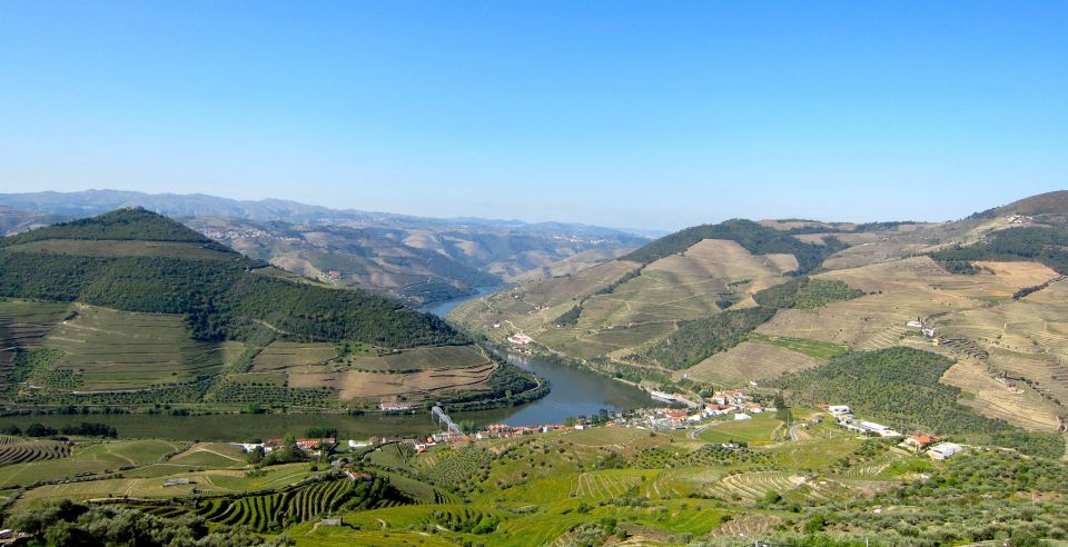 Douro Valley Semi-Private Tour With Two Wineries and Lunch - Pickup and Booking Information