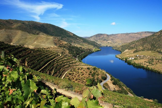 Douro Valley Small Group Tour From Porto - Tour Experience