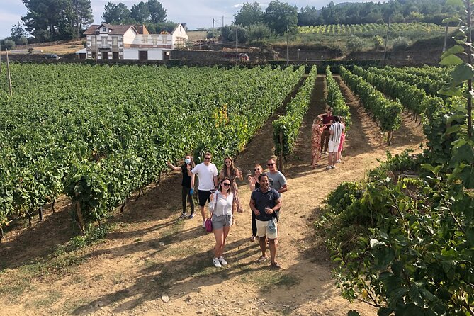 Douro Valley: Small-Group Tour Wine Tasting, Lunch, River Cruise - Tour Inclusions and Experiences