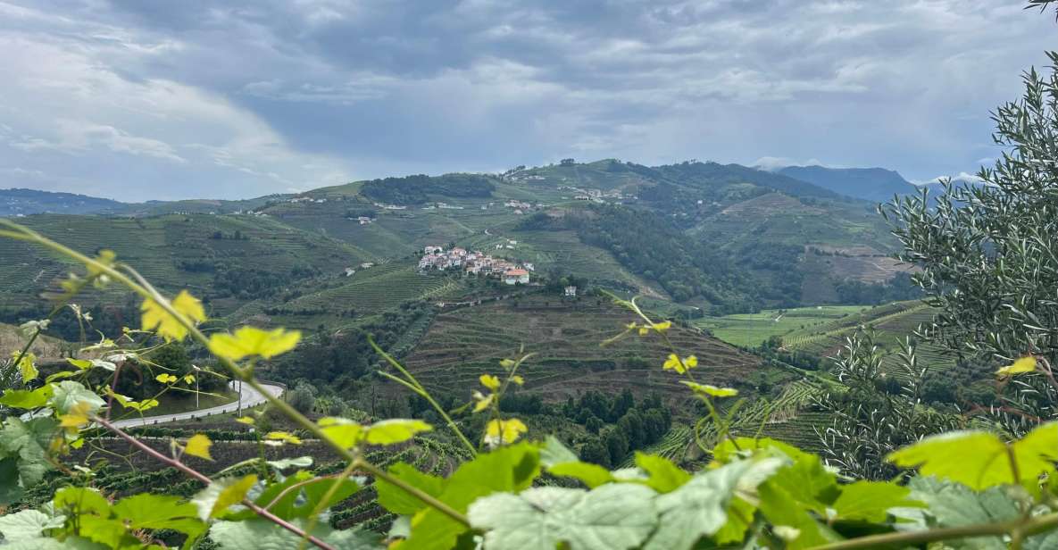 Douro Valley Tour - Tour Duration and Booking Details