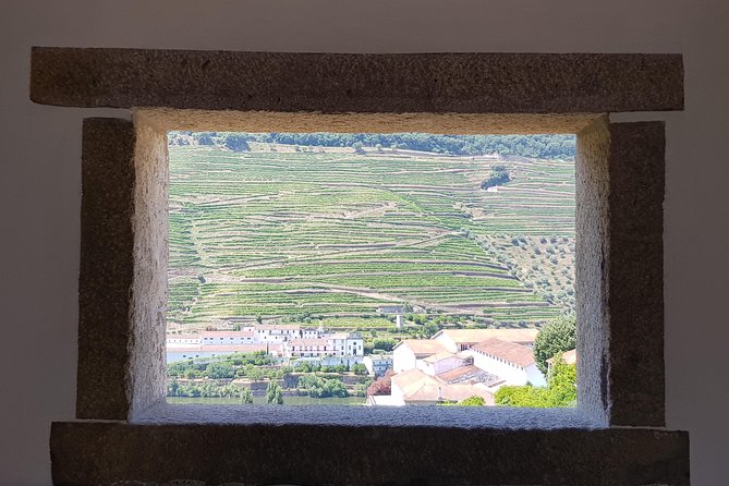 Douro Valley Wine Tour: 3 Vineyard Visits, Wine Tastings, Lunch - Wine Tasting Experiences