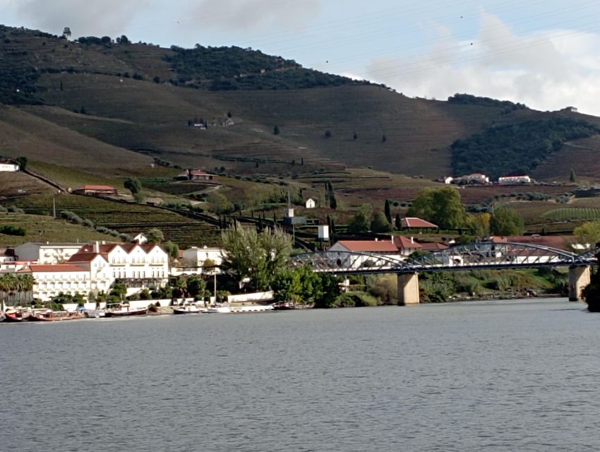 Douro Valley Wine Tour, Lunch River Cruise, 12 Wines Tasting - Activity Details