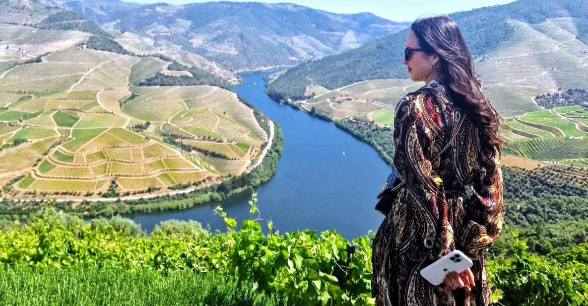 Douro Valley:Expert Wine Guide,Boat, Wine, Olive Oil & Lunch - Tour Highlights