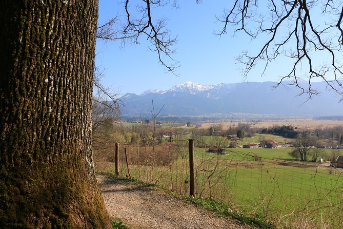 Dragon Slayer Way Beer Hike Food Experience Private Tour (departs Munich) - Meeting Point and Time