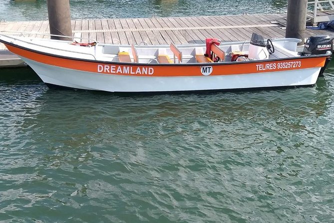 Dreamland Boat Trips Benagil Cave and Praia Da Marinha - Accessibility Details