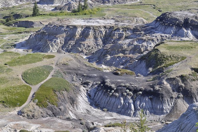 Drumheller (Dinosaur Valley) & Horseshoe Canyon 1-Day Tour - Departure Information