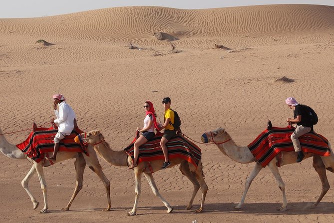 Dubai: Adventure Quad Bike Safari, Sandboarding, Camel Ride & BBQ - Meeting and Pickup Information