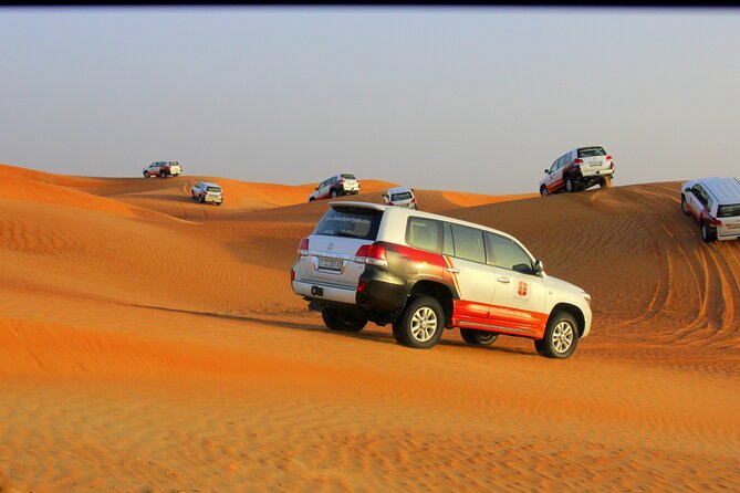 Dubai Afternoon Desert Safari and BBQ Dinner - Adventure Activities