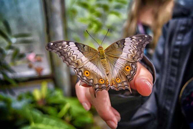 Dubai Butterfly Garden : Skip The Line / Mobile Voucher Accepted - Logistics and Access Details