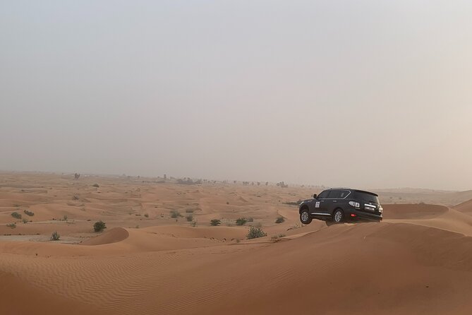 Dubai Desert Safari-Bbq Dinner, Belly Dance, Fire Show - Booking Confirmation and Cancellation Policy