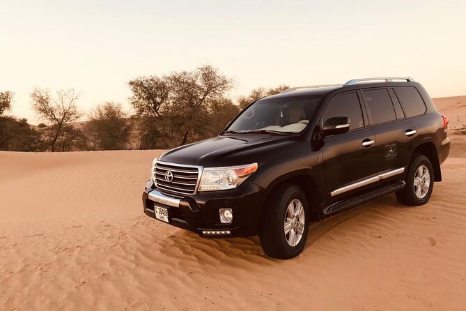 Dubai Desert Safari Experience - Reviews and Ratings Breakdown