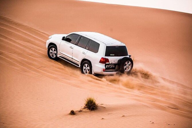 Dubai Dune Bashing, Sand Boarding and Camels With Barbeque - Logistics and Scheduling Details